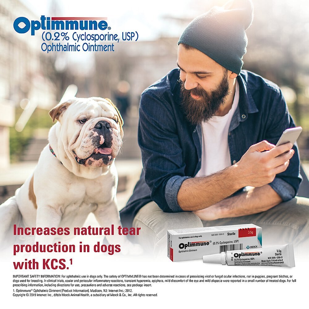 Optimmune (0.2% Cyclosporine) Ophthalmic Ointment for Dogs