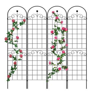 Zeus  Ruta 86 .7'' Black 4 Pack Metal Garden Trellis for Climbing Plants Outdoor LH-999