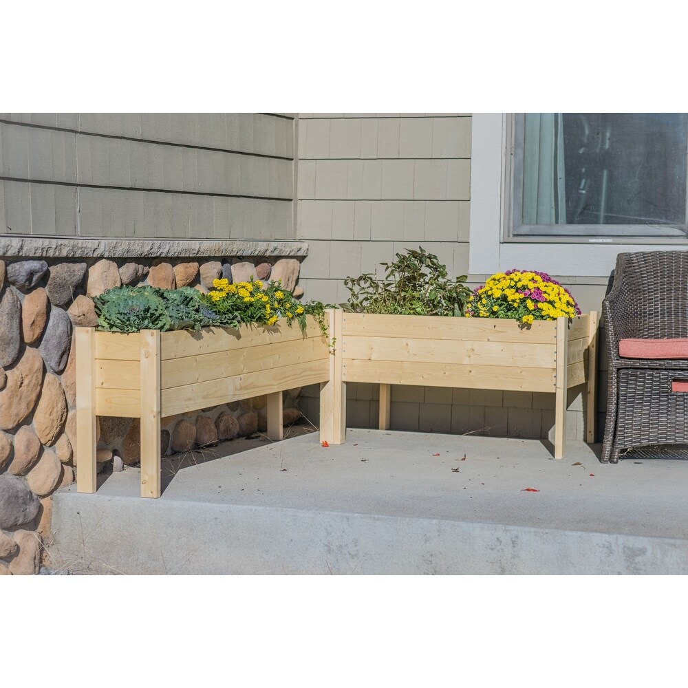 Zylina Raised Garden Planter Collection   Large   38 x 24 x 22