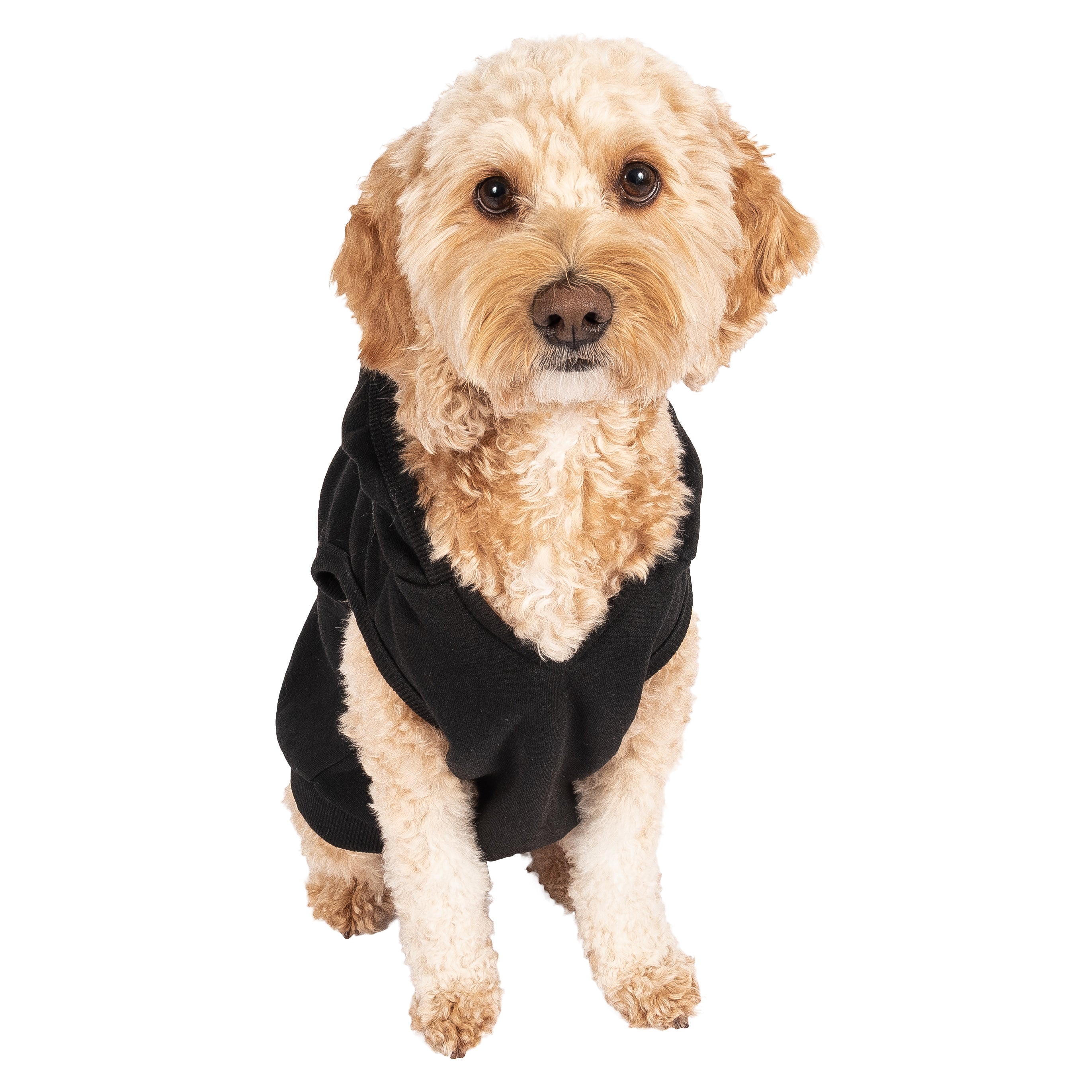 Justice Pet Polyester Printed Fleece Hoodie， Black， XS