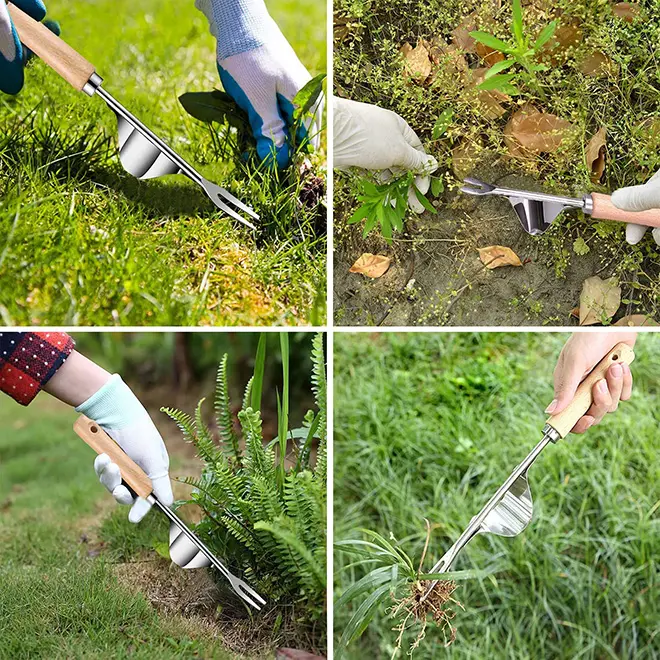 Dropshipping Heavy Duty Stainless Steel Garden Manual Hand Weeder Premium Gardening Tool for Weeding Your Garden