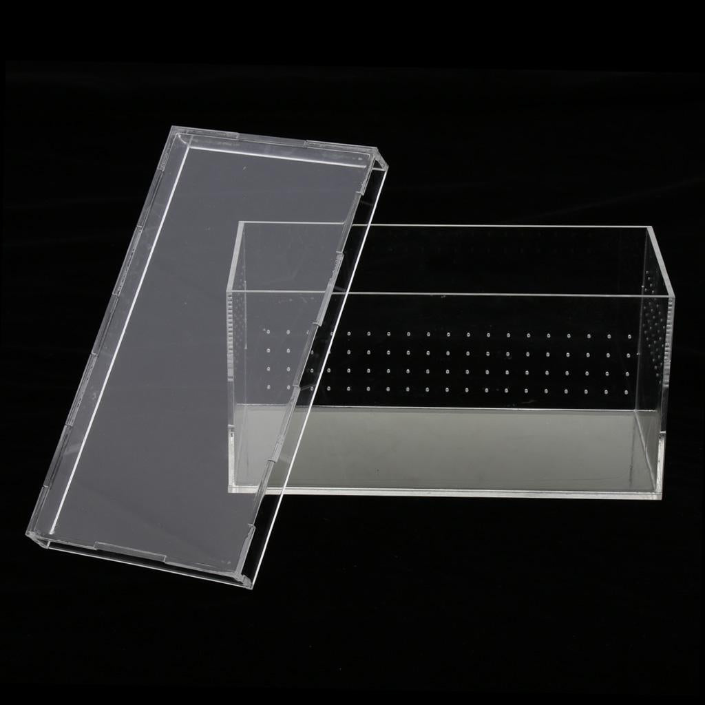 Acrylic Reptile Feeding Tank for Spiders Breeding Box