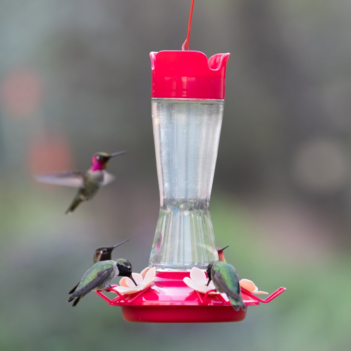 Perky-Pet Top-Fill Pinch-Waist Glass Hummingbird Feeder