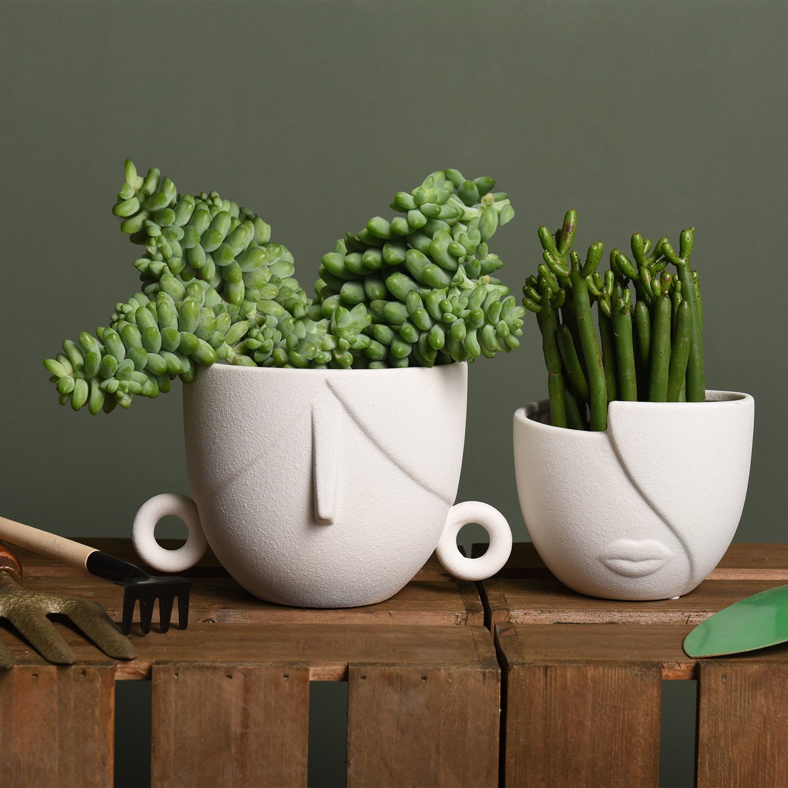 Garden Succulent Planter Flower Pots Set of 2, Indoor Planter Pots with Drainage Hole, Ceramic White 5.4” + 4.7”