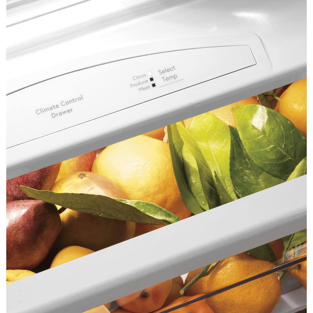 GE Profile Profile 28.7 cu. ft. Smart Built-In Side by Side Refrigerator in Stainless Steel PSB48YSNSS