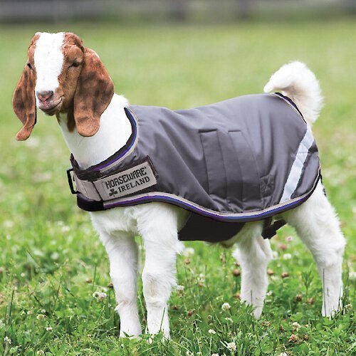 Horseware Ireland Goat Rug