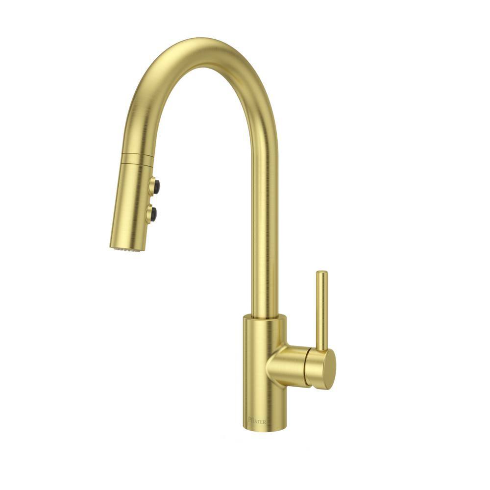 Pfister Stellen Single-Handle Pull-Down Sprayer Kitchen Faucet in Brushed Gold LG529-SABG