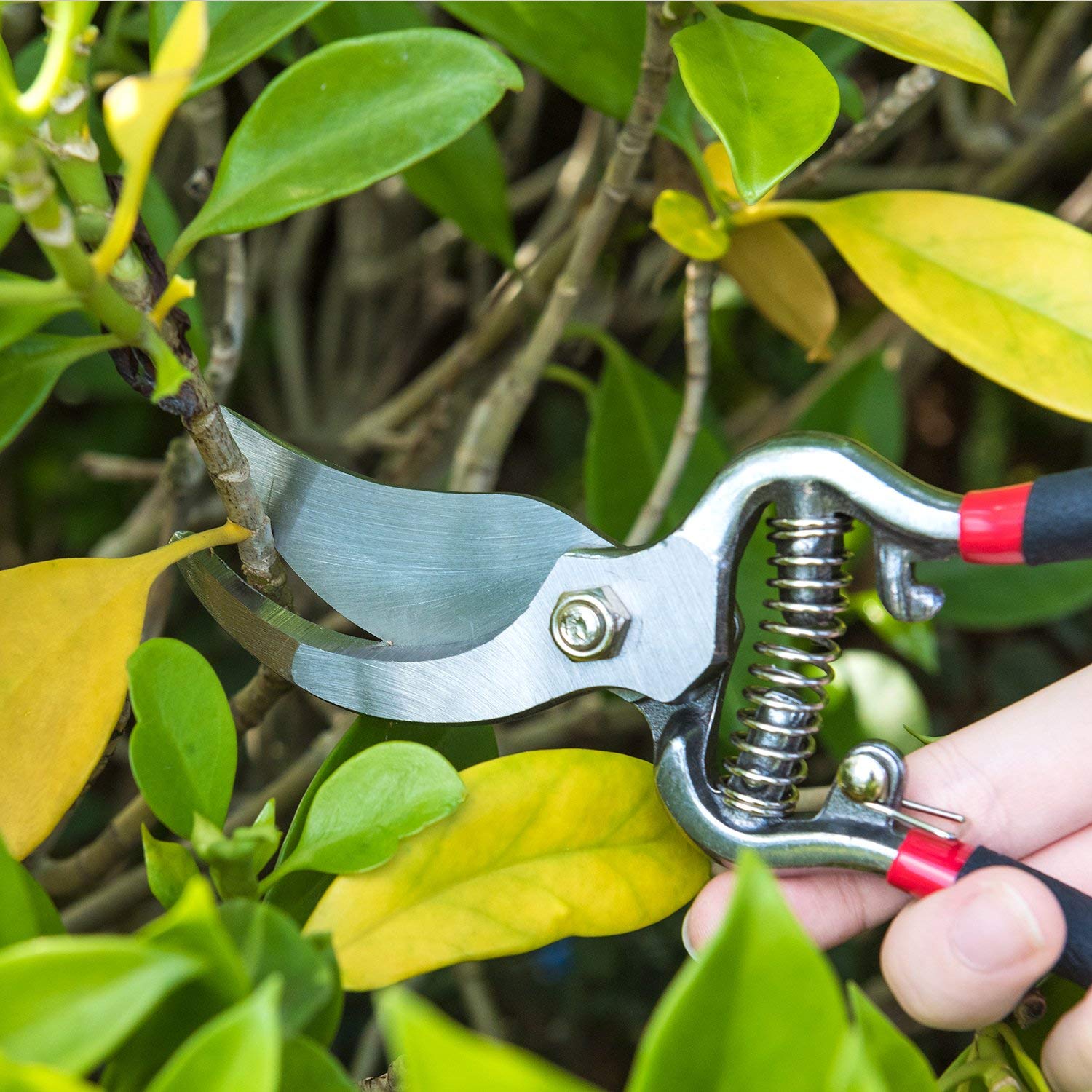 8.5" Steel Pruning Shears - Gardening Hedge Trimmer - Bonsai / Branch Cutters