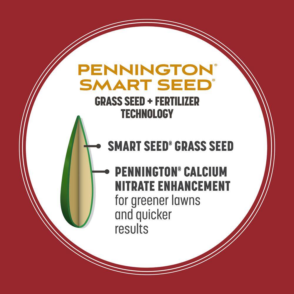 Pennington Smart Seed 3 lbs. Perennial Ryegrass Grass Seed Blend 100543717