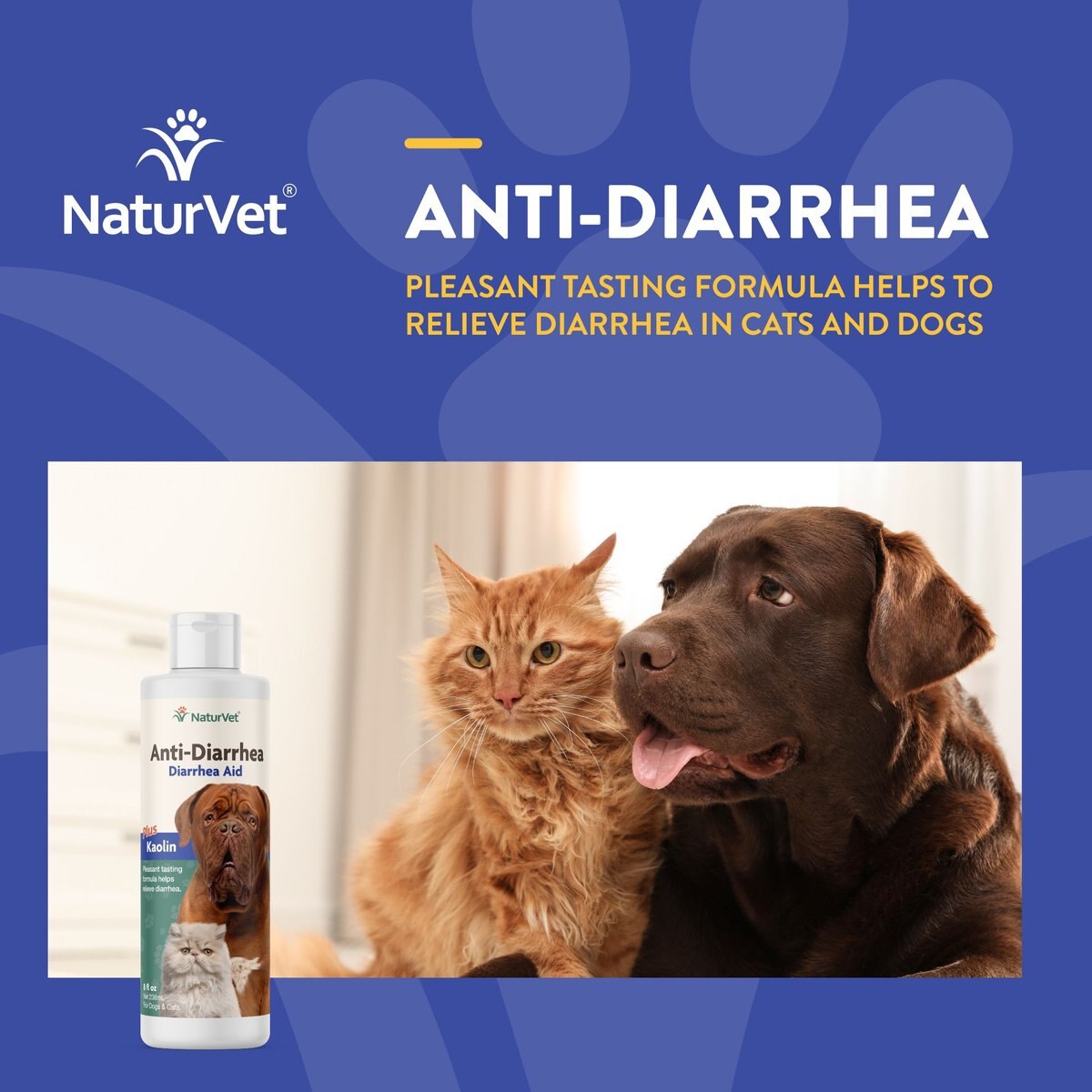 NaturVet Homeopathic Medicine for Digestive Issues and Diarrhea for Cats and Dogs