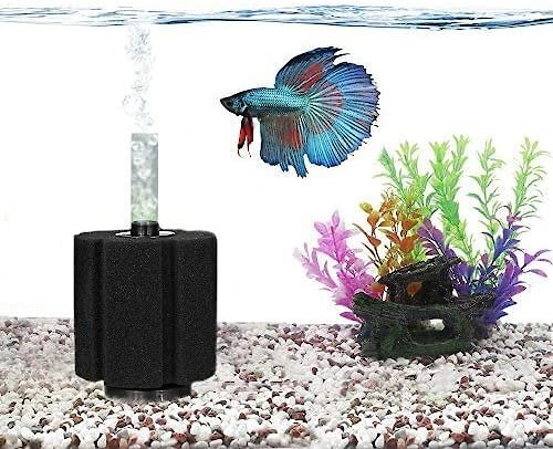 SunGrow Betta Fish and Turtle Sponge Small Aquarium Tank Water System Filter， up to 10-gal