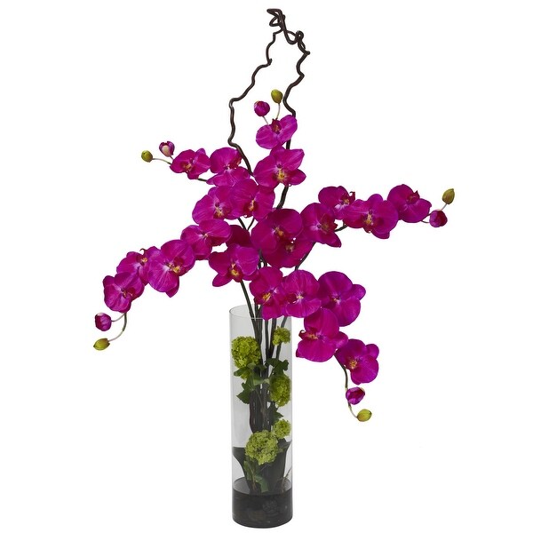 Giant Phalaenopsis and Hydrangea Arrangement Orchid