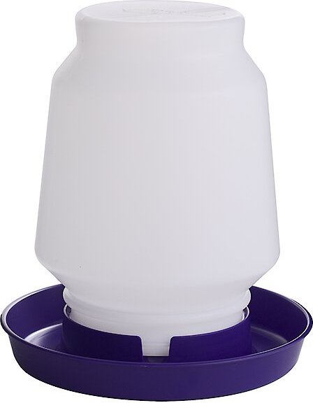 Little Giant Plastic Poultry Fount， 1-gal