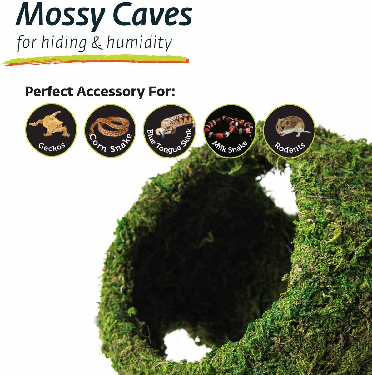 Galapagos Mossy Cave Reptile and Amphibian Terrarium Accessory， Fresh Green