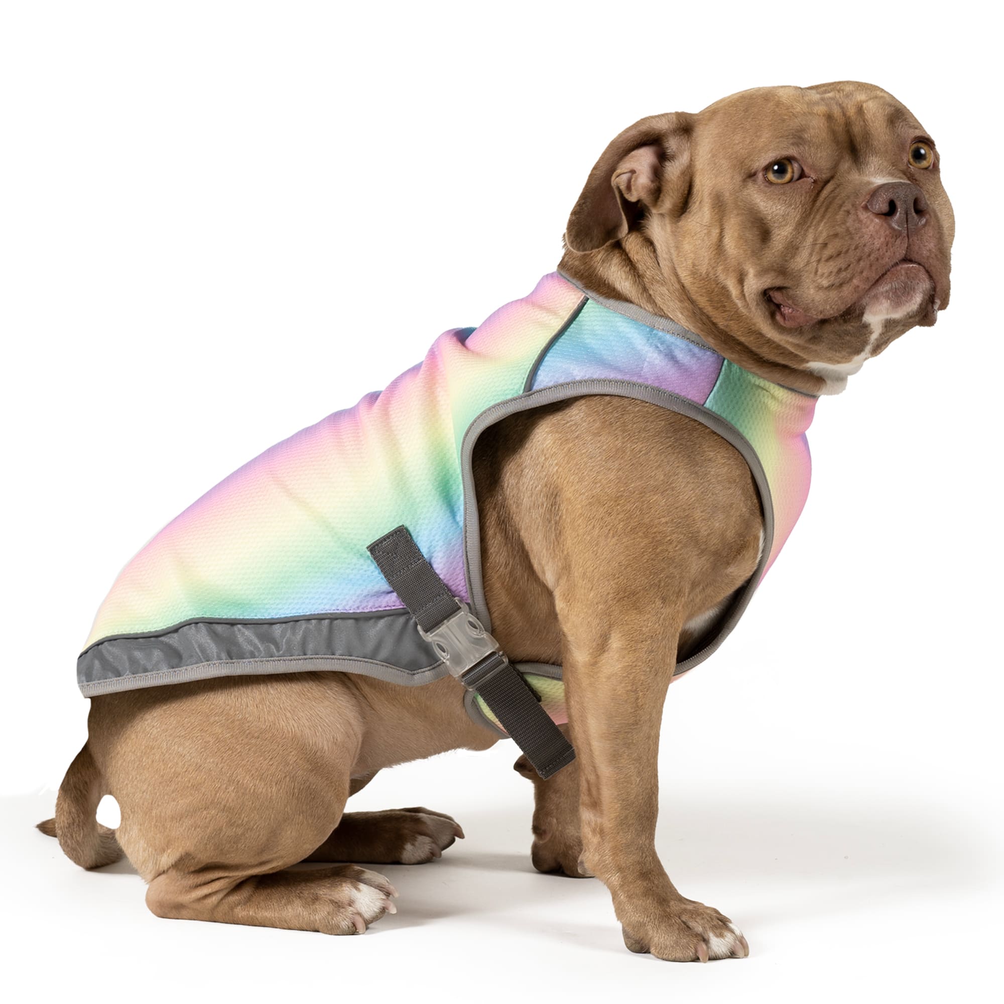 Canada Pooch Rainbow Chill Seeker Cooling Dog Vest， X-Small