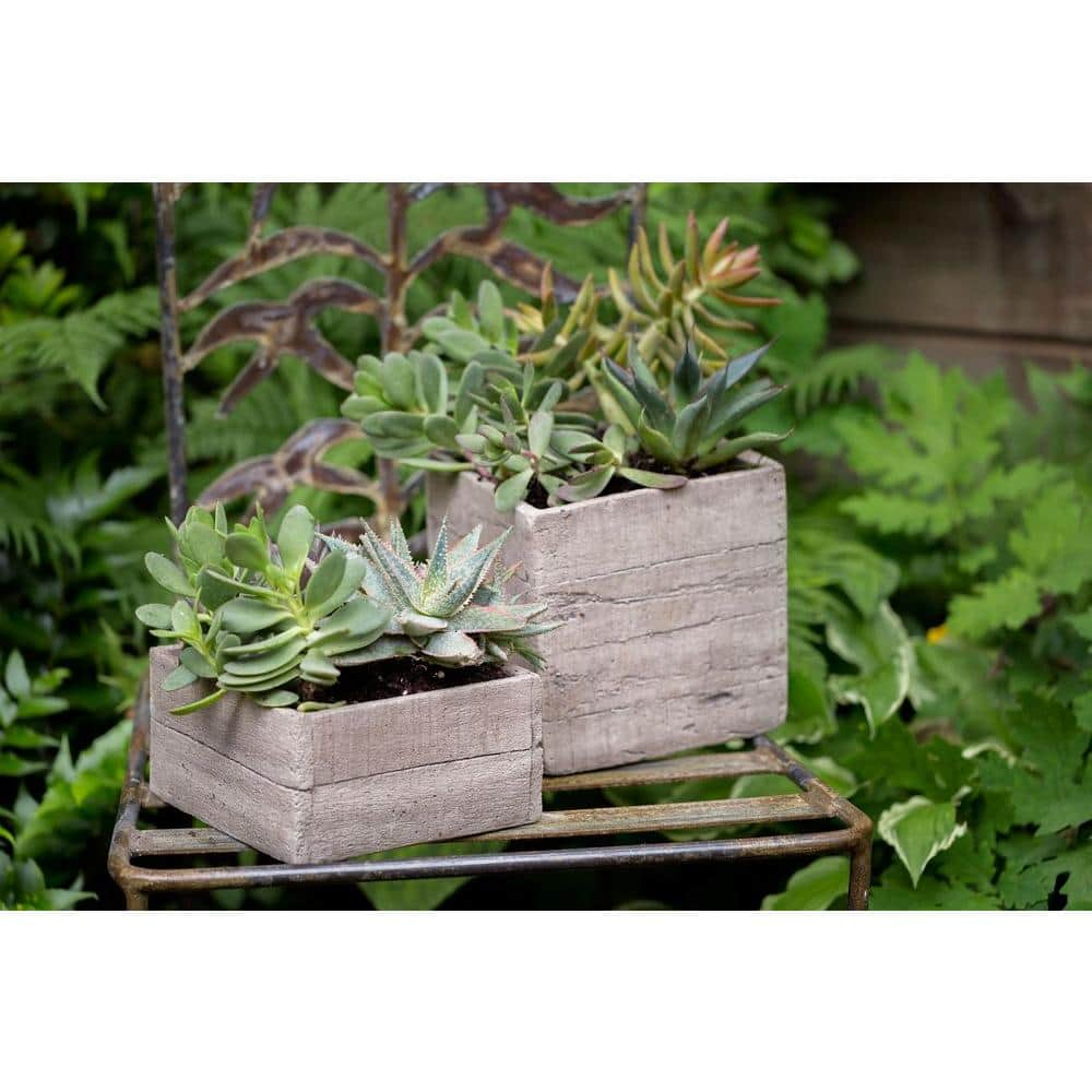 Paddock Home and Garden 7 in. Concrete Tall Square Planter Box 521435