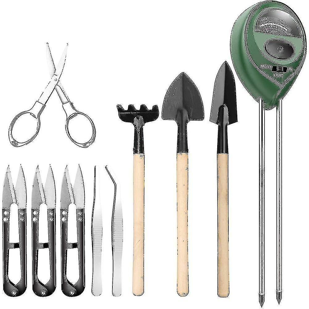 10pcs Bonsai Tools With Soil Moisture Meter