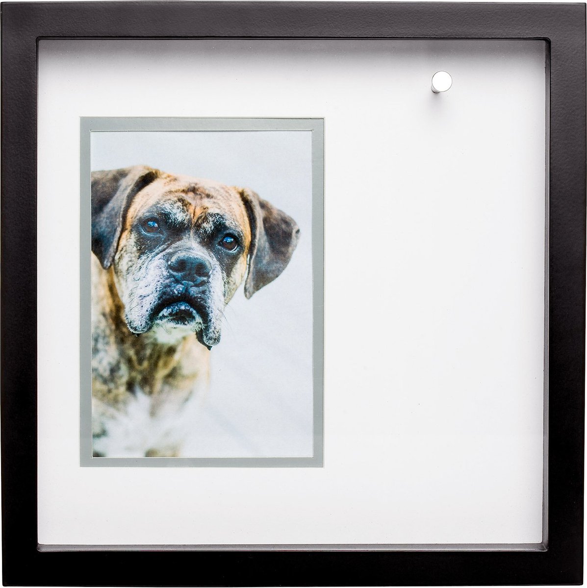 Pearhead Pet Collar Frame