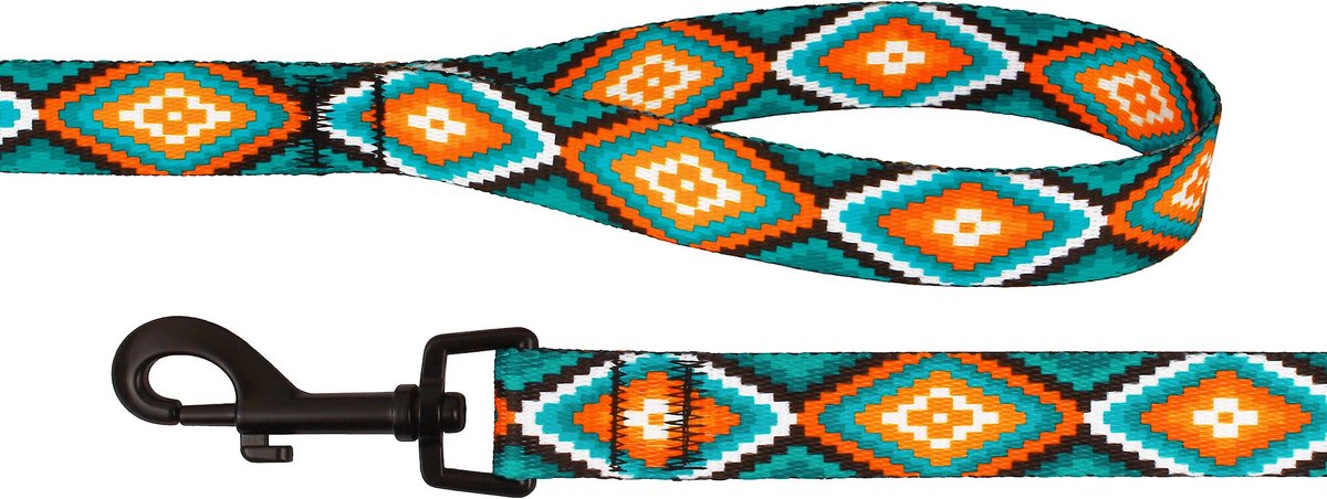 CollarDirect Tribal Aztec Nylon Dog Leash