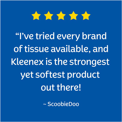 Kimberly-Clark Kleenex Trusted Care Tissues | 2 Ply， 8.20