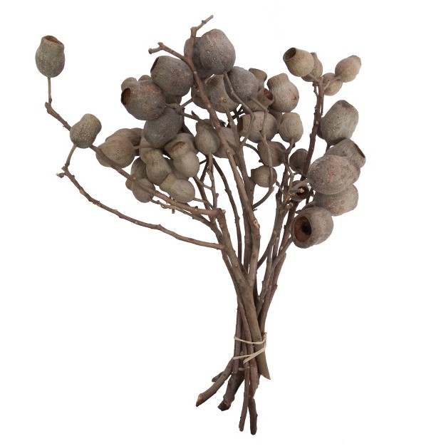 X 4 quot Bellgum Branch 5 7 Bells 10 Stems Per Unit