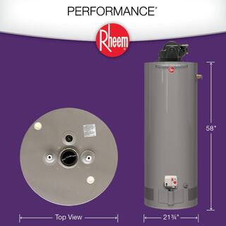 Rheem Performance 50 Gal. Tall 6 Year 42000 BTU Liquid Propane Power Vent Tank Water Heater XP50T06PV42U0