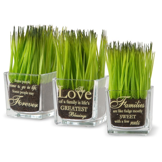 Love Families Forever Sprout Glass Assortment National Tree Company