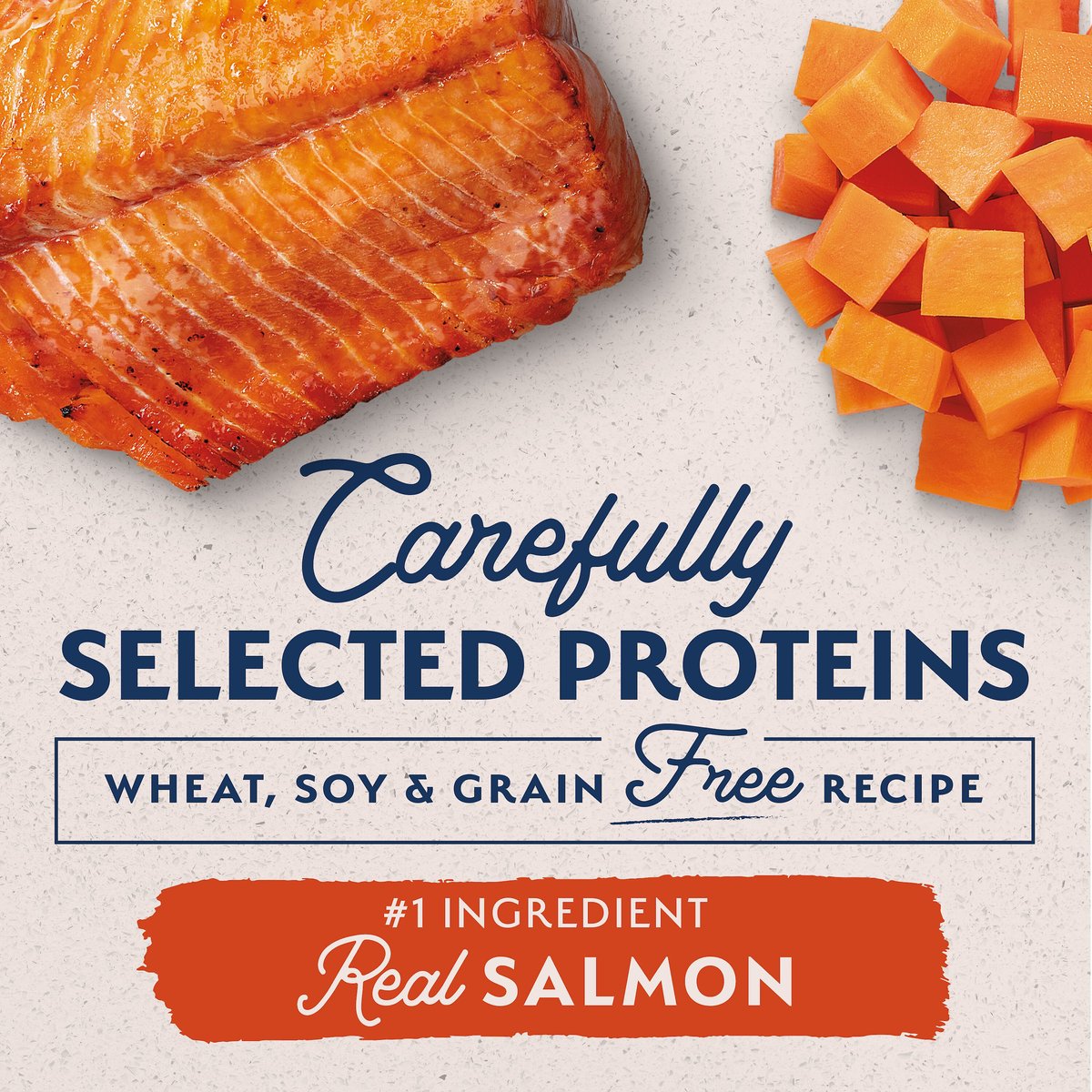 Natural Balance Limited Ingredient Grain-Free Salmon and Sweet Potato Recipe Dry Dog Food