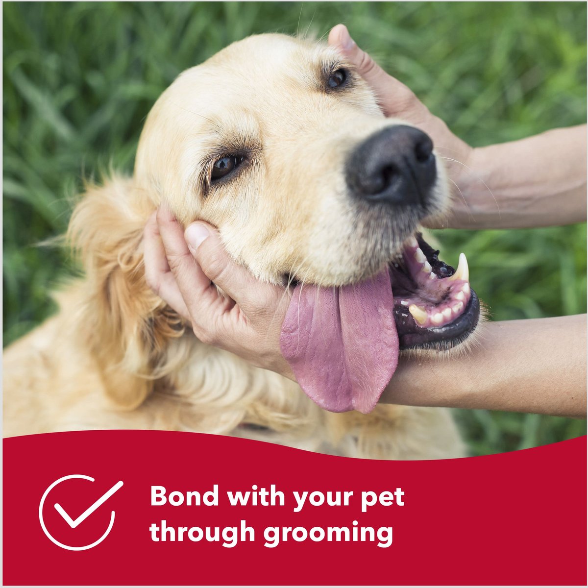 Safari Shedding Comb for Long-haired Dogs