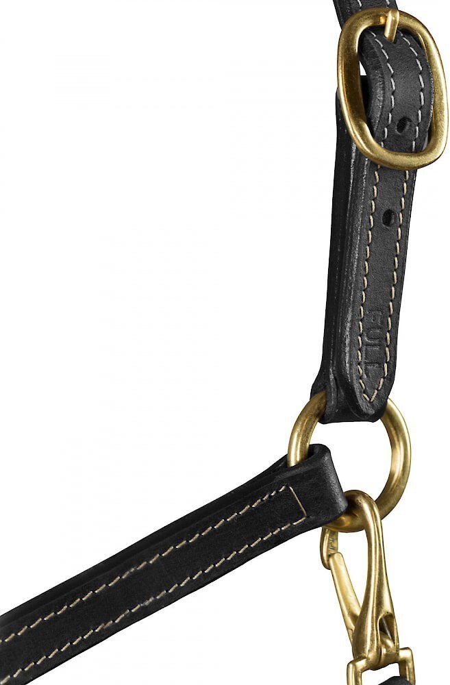 Horze Equestrian Fremont Leather Horse Halter