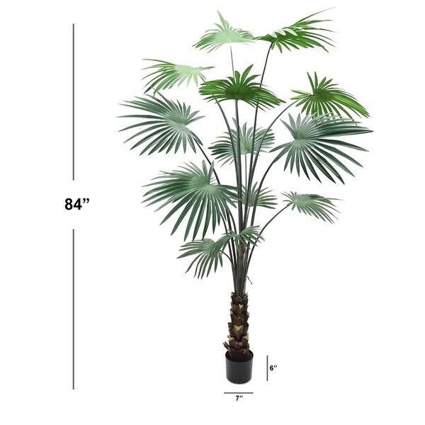 Stunning 7' Indoor Fan Palm