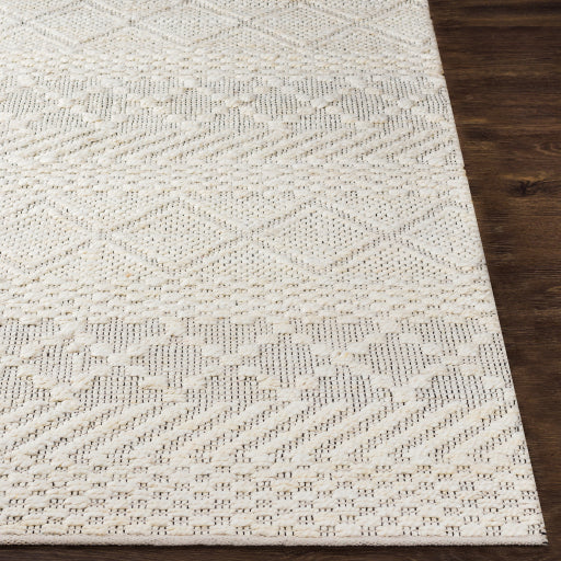 Santa Barbara Modern Jute Cream Rug