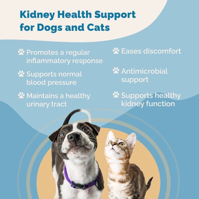 Prana Pets Kidney Health Support Liquid Cat and Dog Supplement， 2-oz bottle