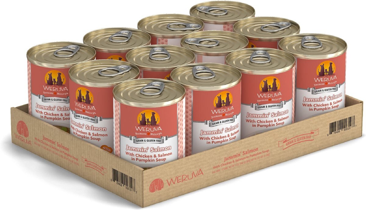 Weruva Jammin' Salmon with Chicken and Salmon in Pumpkin Soup Grain-Free Canned Dog Food