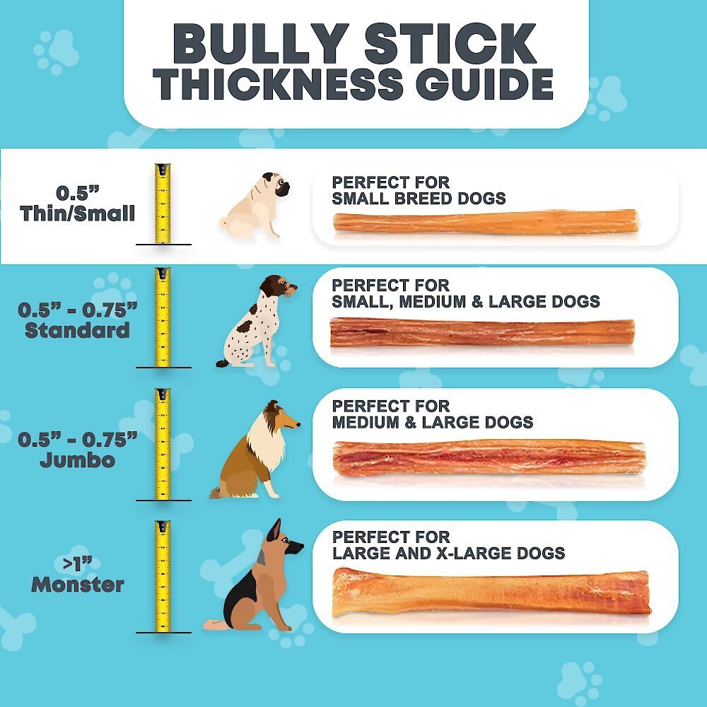 HOTSPOT PETS Thin Premium Bully Sticks Dog Treats， 12-in