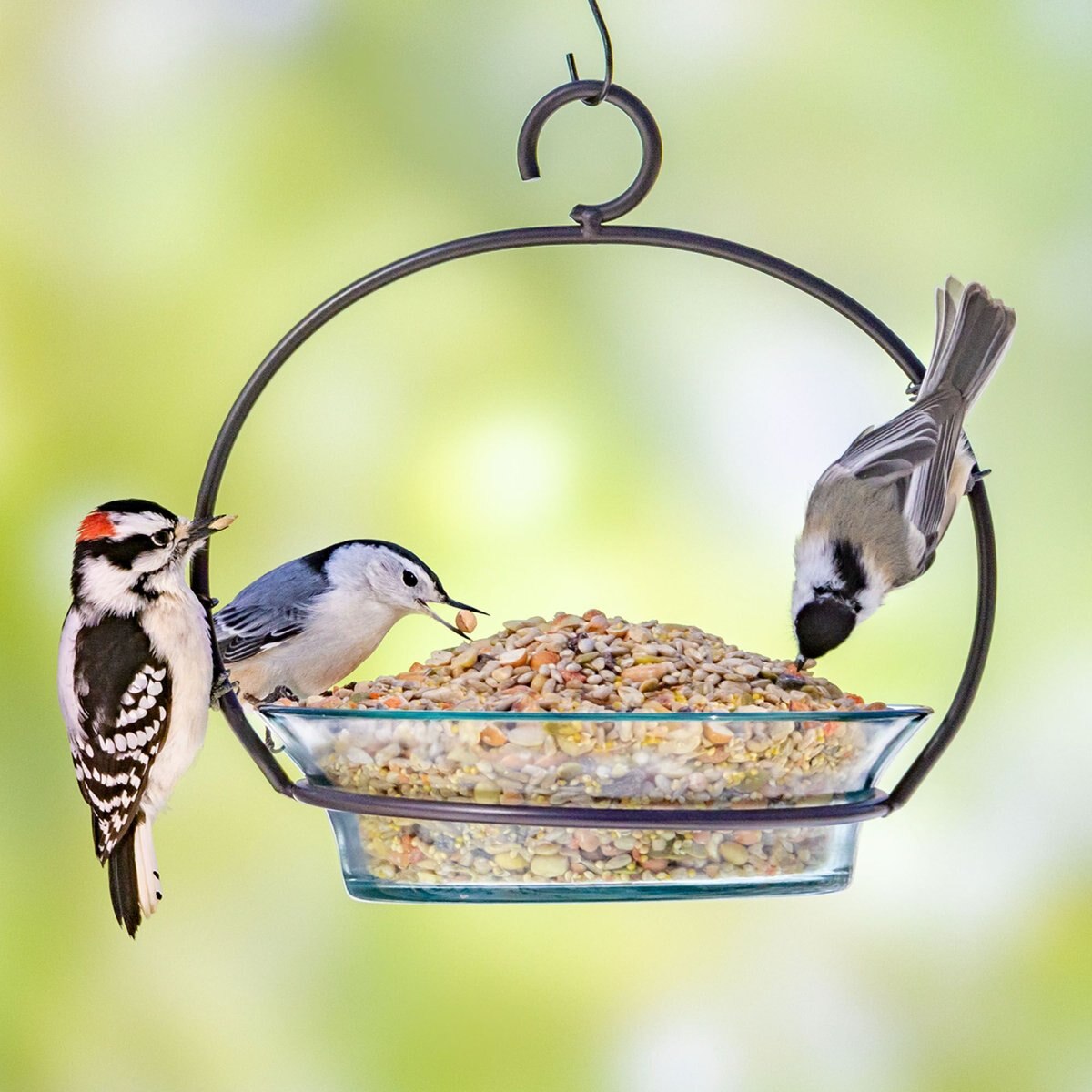 Melody Select Waste Free Nut and Fruit Bird Food