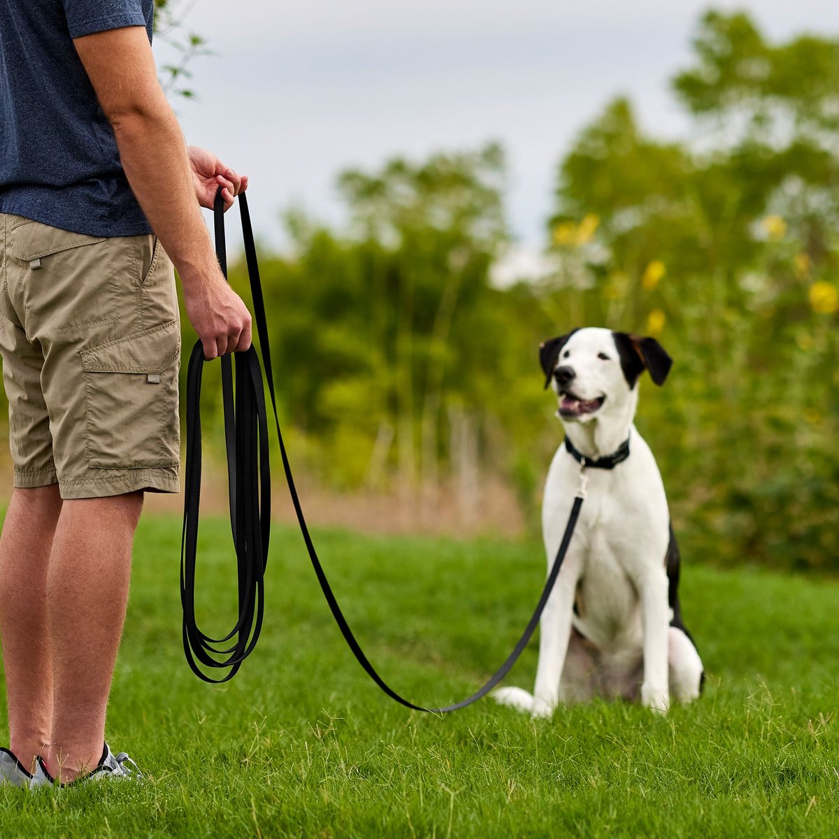 Frisco Training Dog Leash， Black