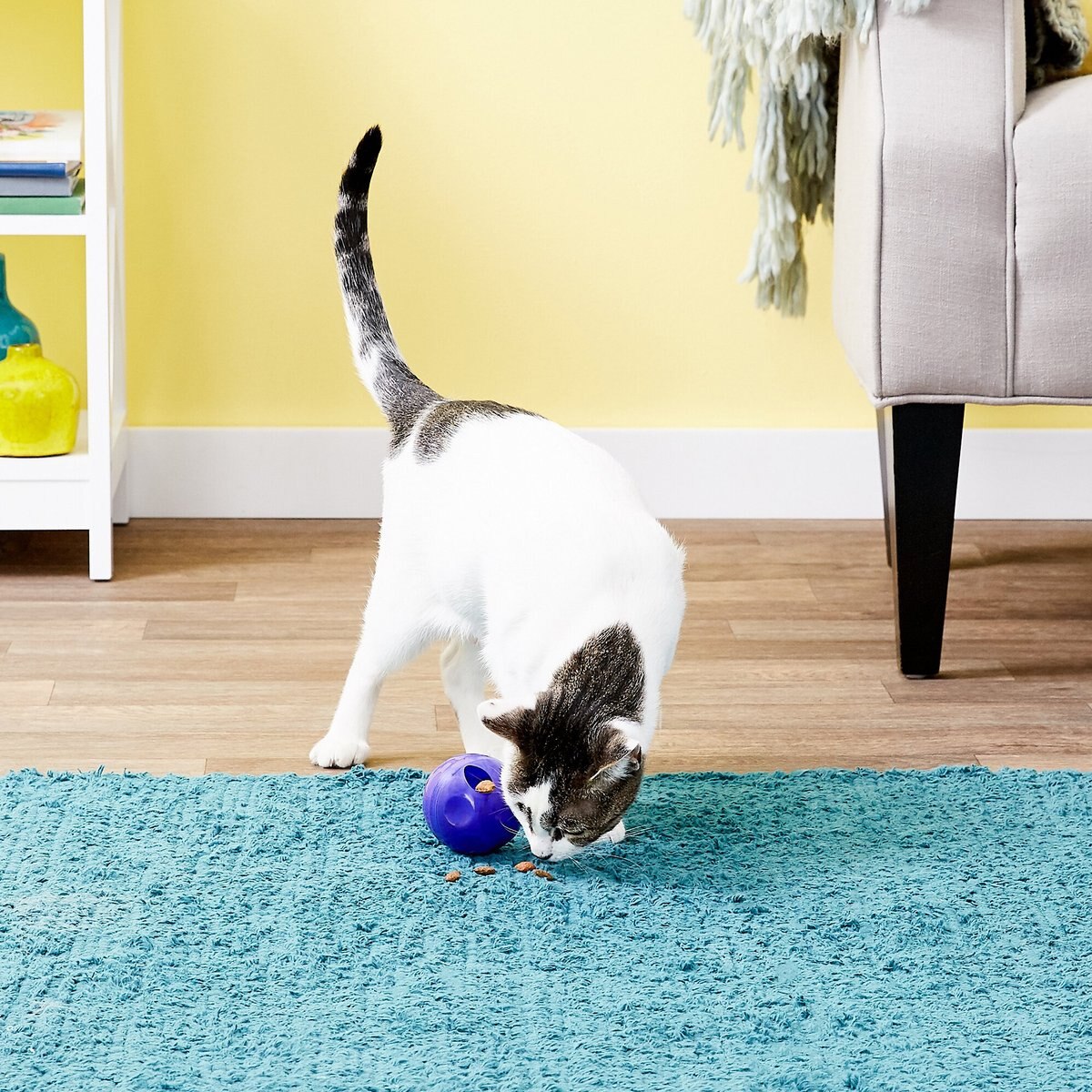 KONG Active Treat Ball Cat Toy