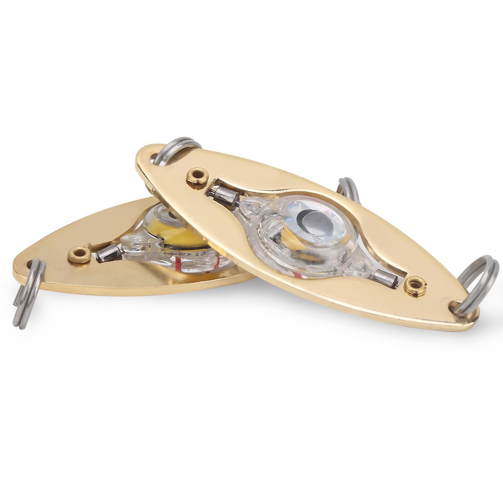 2pcs Fishing Led Lure Light Eye Shape Colorful Flashing Light Bait Underwater Lure Lamp