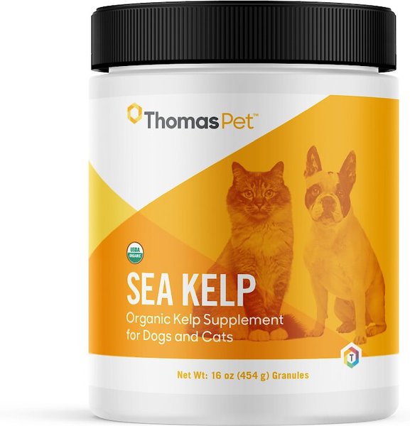 Thomas Labs C Kelp Organic Powder Dog and Cat Supplement