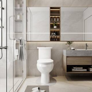 Two-Piece 1.11.6 GPF Dual Flush Elongated Toilet in White Seat Included HKD-TPT2488T-W