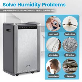 Xppliance 125 pt. 8500 sq. ft. Commercial Dehumidifier in Metallics with 24-Hour Timer ZJOLWBRY04