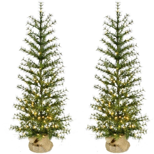 Fraser Hill Farm 4ft. Farmhouse Fir Christmas Tree with Burlap Bag and Warm White LED Lights，Set of 2