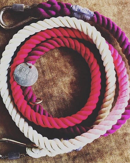 Found My Animal Adjustable Ombre Rope Dog Leash， 7-ft