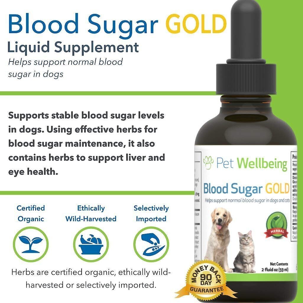 Pet Wellbeing Blood Sugar GOLD Bacon Flavored Liquid Diabetes Supplement for Dogs and Cats