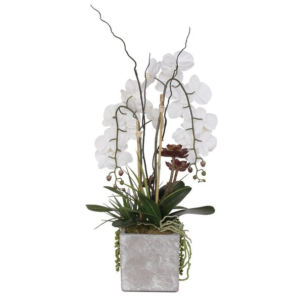 Real Touch White Orchid with Succulent Arrangement in Square Stone Pot