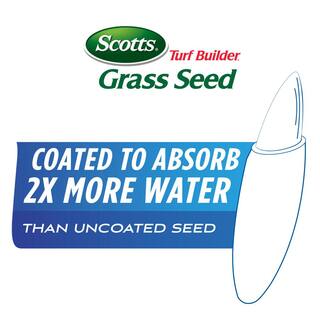 Scotts Turf Builder 5 lbs. Grass Seed Argentine Bahiagrass for Excellent Heat  Drought Resistance 18001-1