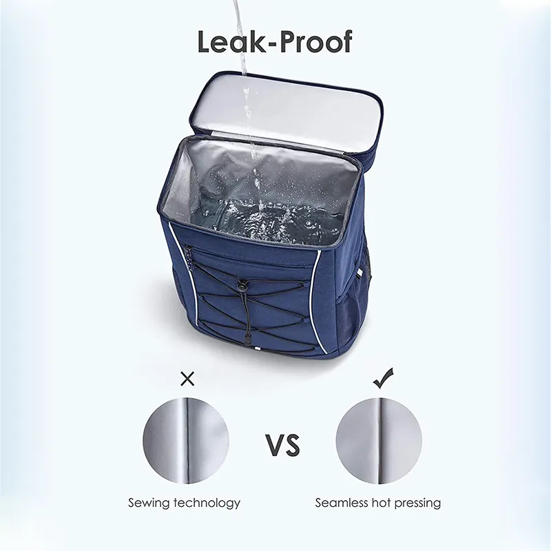 Free Sample Insulated Backpack Cooler Holds For Perfect Lunch Or Drink Bag For Camping Hiking Fishing 100% Waterproof Bag