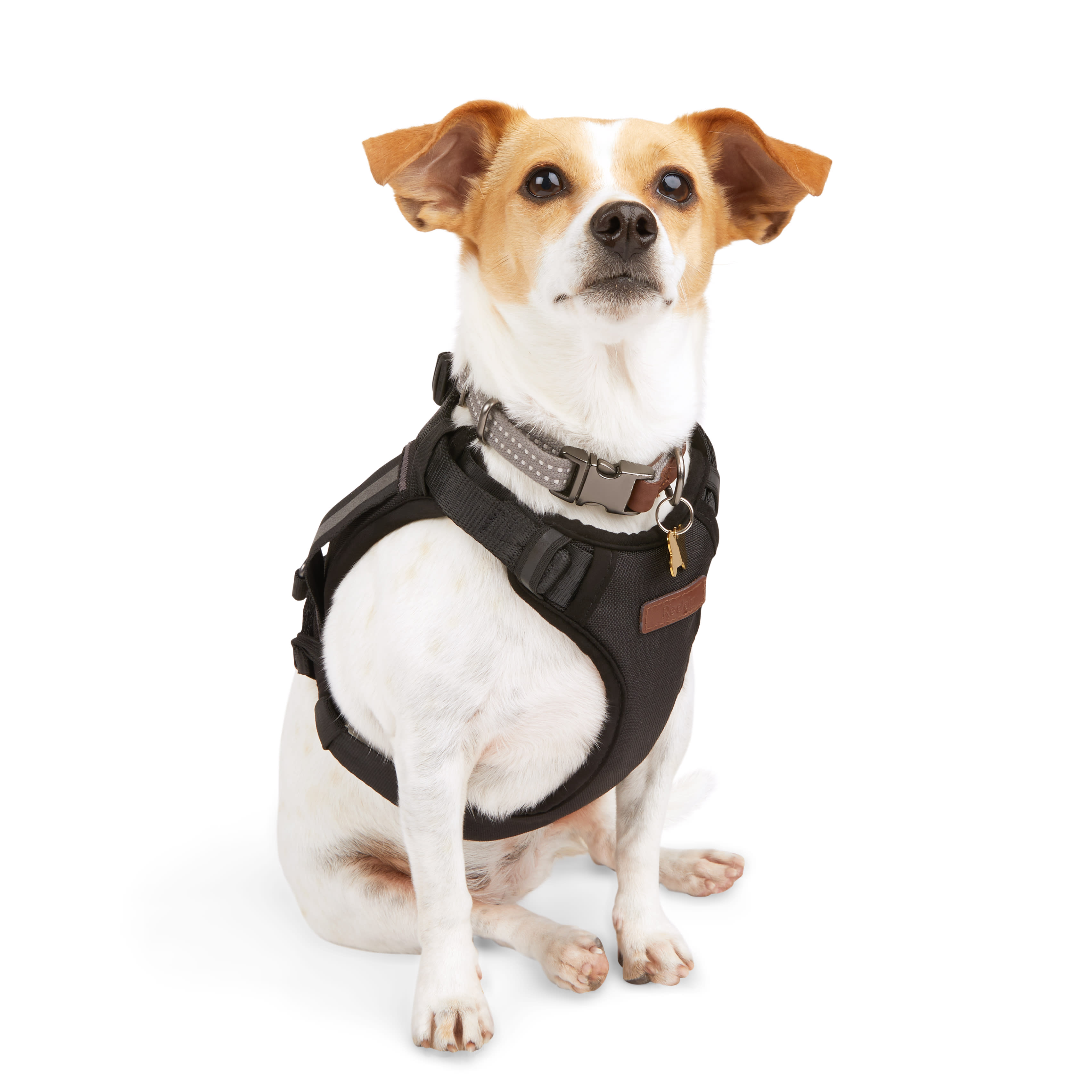 Reddy Crash Tested Dog Harness， Small