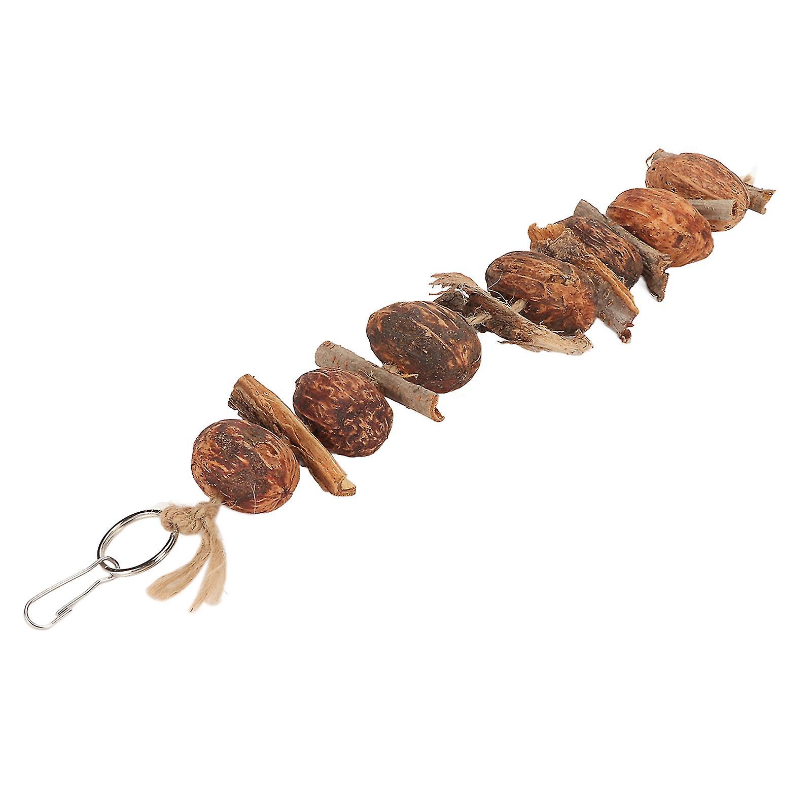 Nuts Parrot Toy Relieve Boredom Hanging Bird Bark Chewing String Toy for Pets Cage Bite Toy